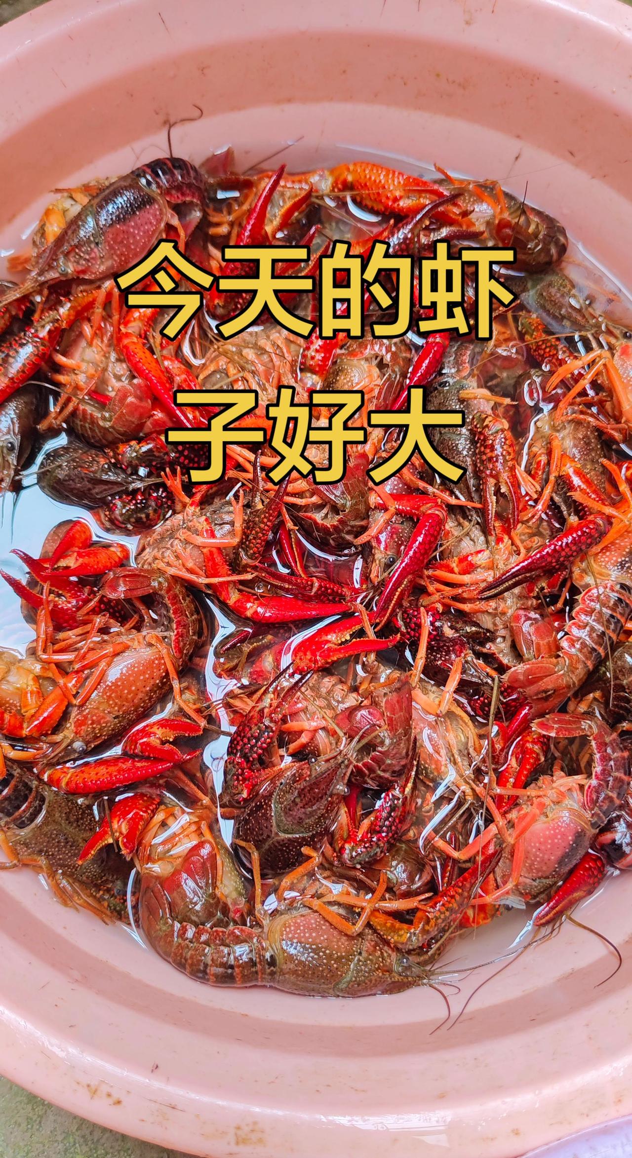 你们用什么碗装的小龙虾