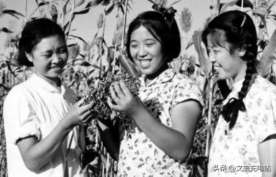 1983年6月，邢燕子被请至天津市委组织部，有人礼貌却坚决地告诉她，她不再是市委