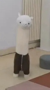： 