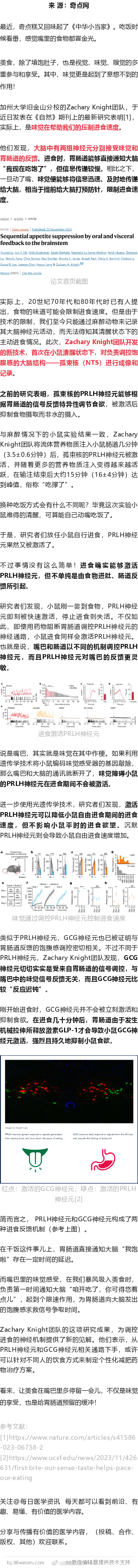 《自然》：细嚼慢咽容易饱的神经学机制找到了！科学家发现，味觉直接参与调控食欲，可
