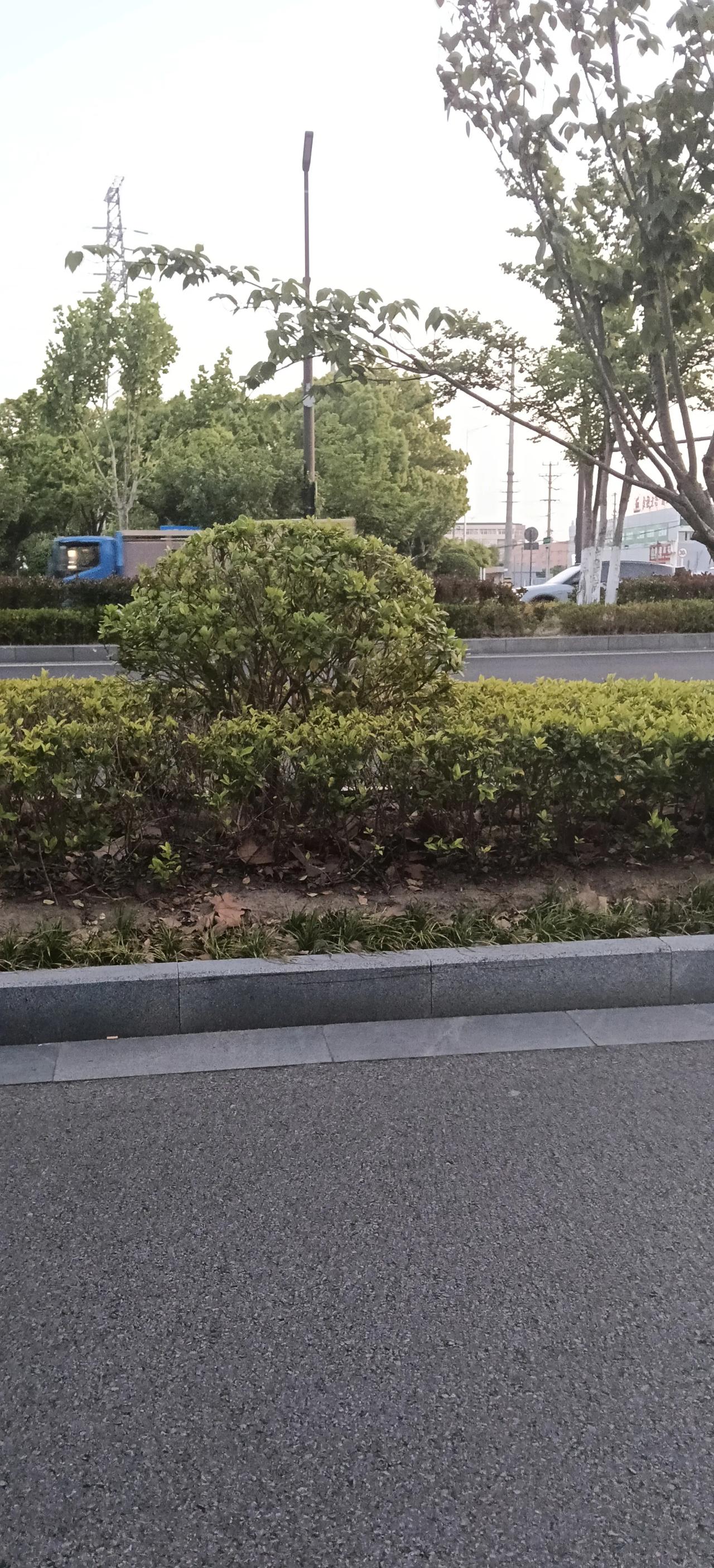 春日辛勤耕耘播种，秋日自有满满丰收回报。
一粥一饭当思来之不易，每一份耕耘，终不