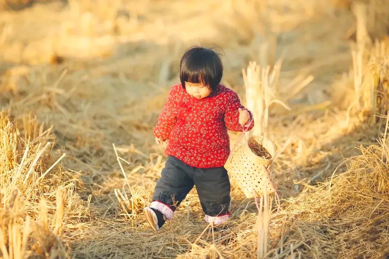生活就是晨起暮落，日子就是早出晚归。