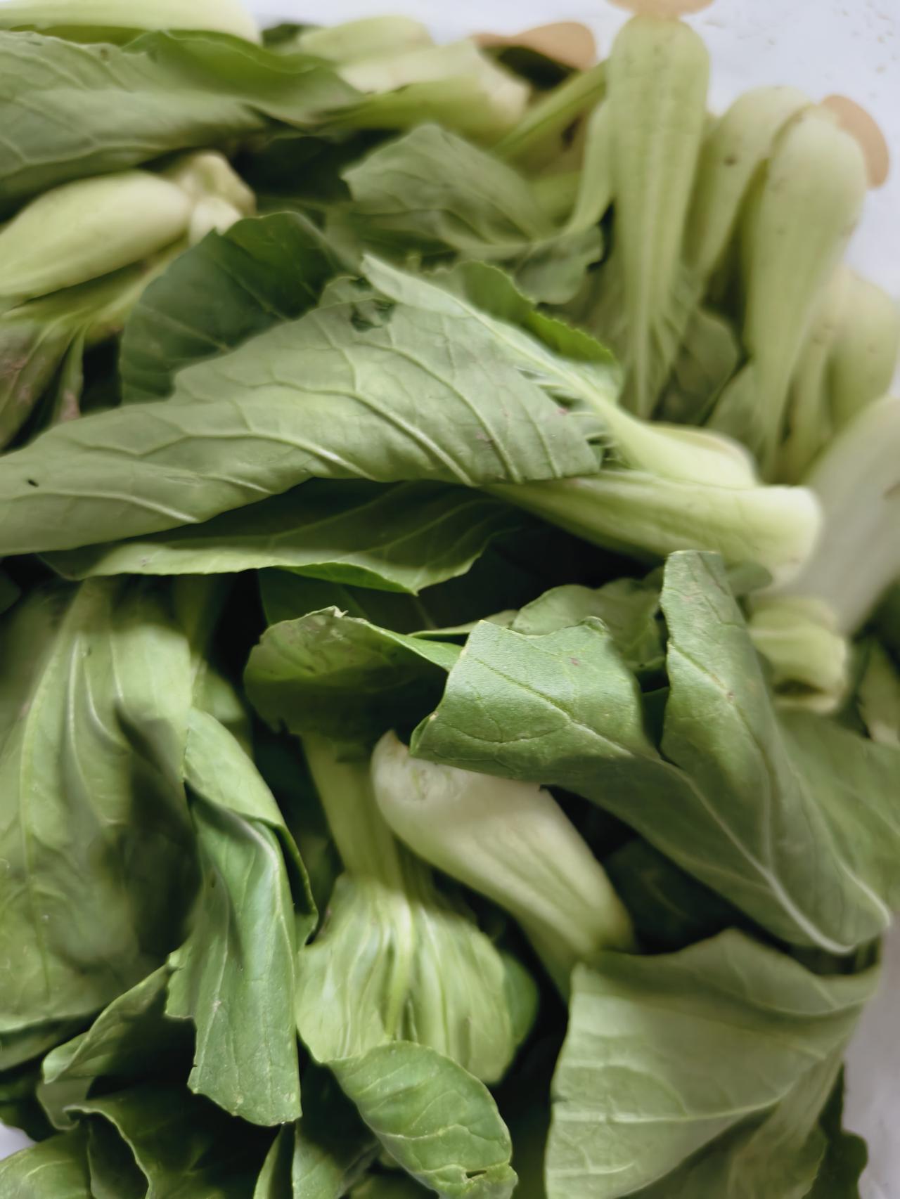 老妈已经去世几年了，82 岁的老爸闲不住，在房子旁边的空地上开辟了一片小菜园，吃