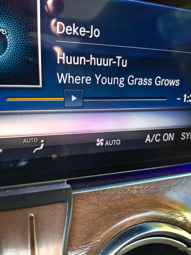 恒哈图这个专辑Where Young Grass Grows见过最美的翻译是：芳
