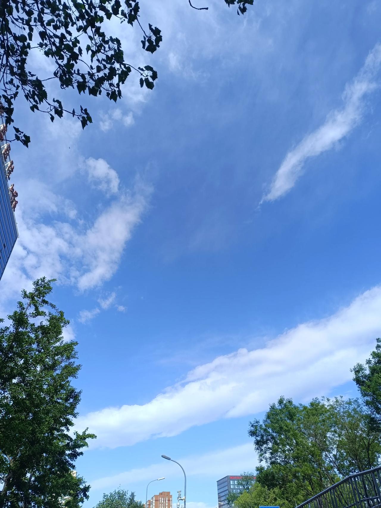 今天这天气是真不错啊，真适合去外面踏青游玩啊！