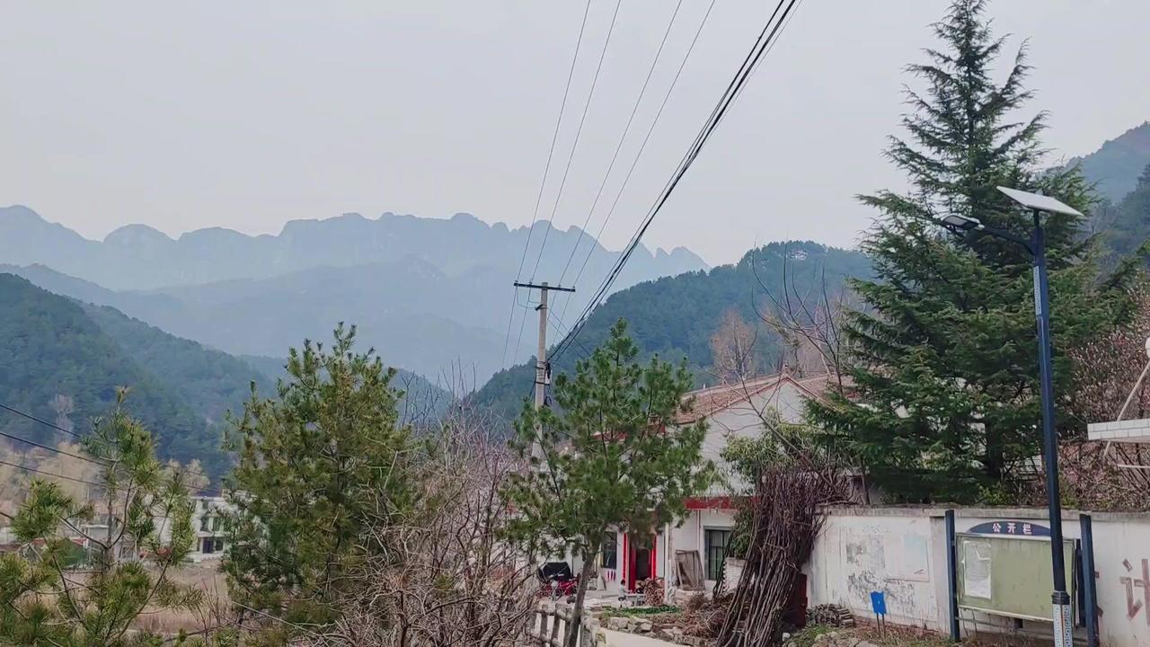 秦岭深处的蓝田王顺山，是春天私藏的宝藏地。山风掠过漫山新绿，树梢成群的喜鹊叽叽喳