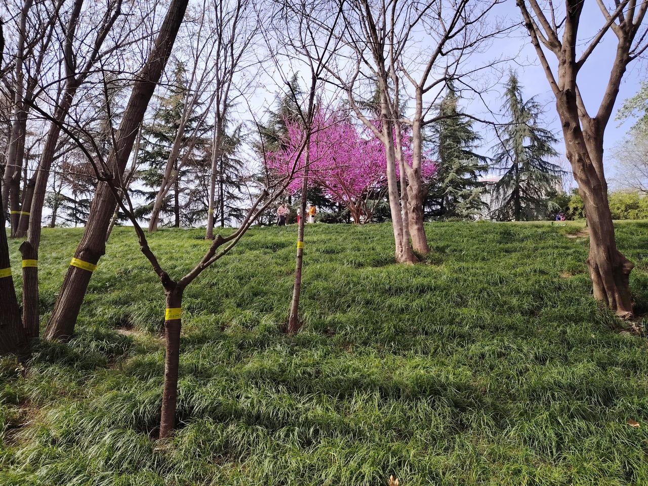 校长永远对
月亮圆了肯定对，
月亮缺了也是对。
校长对了肯定对，
校长错了也是对