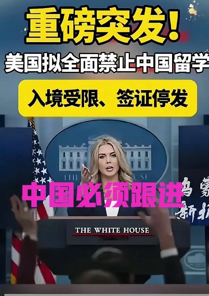 国家应尽快立法，限制外国留学生来学习理工科专业，尤其是高新技术等核心专业应直接禁