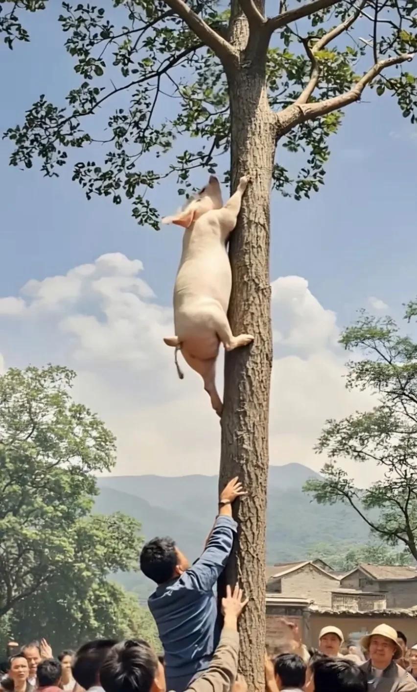 焯水，半熟的肉，带汤，古代祭礼中用的爓(xūn)。