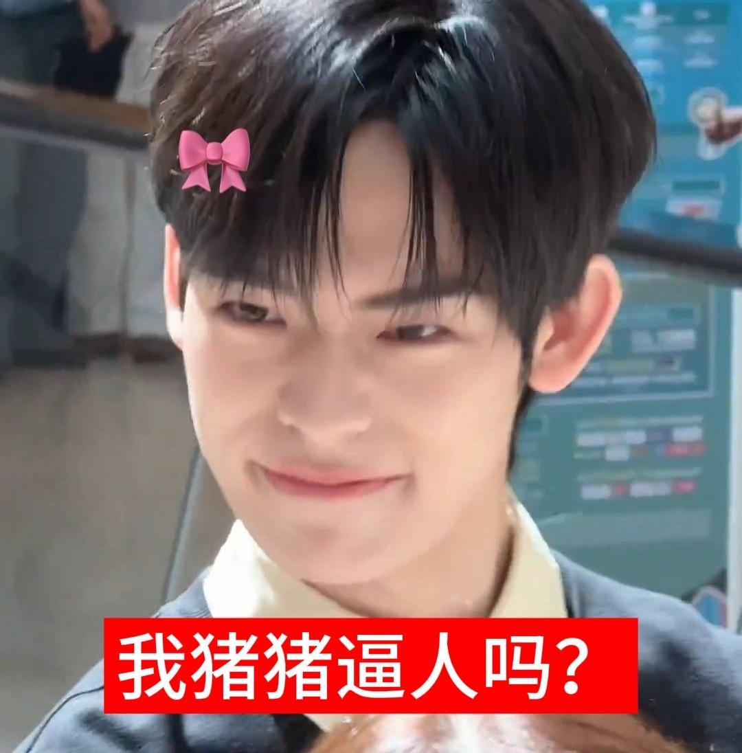我猪猪逼人吗？ 