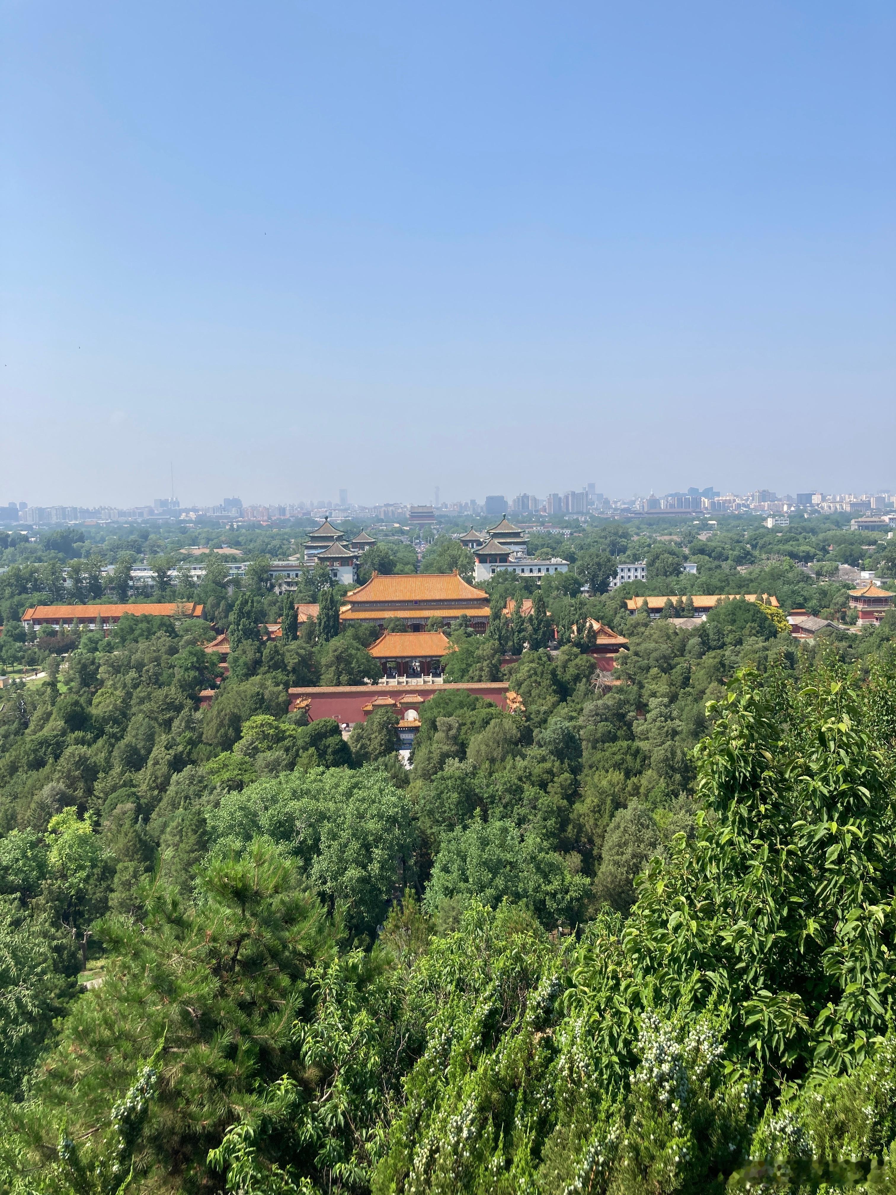 橙V认证  大家晚上好 