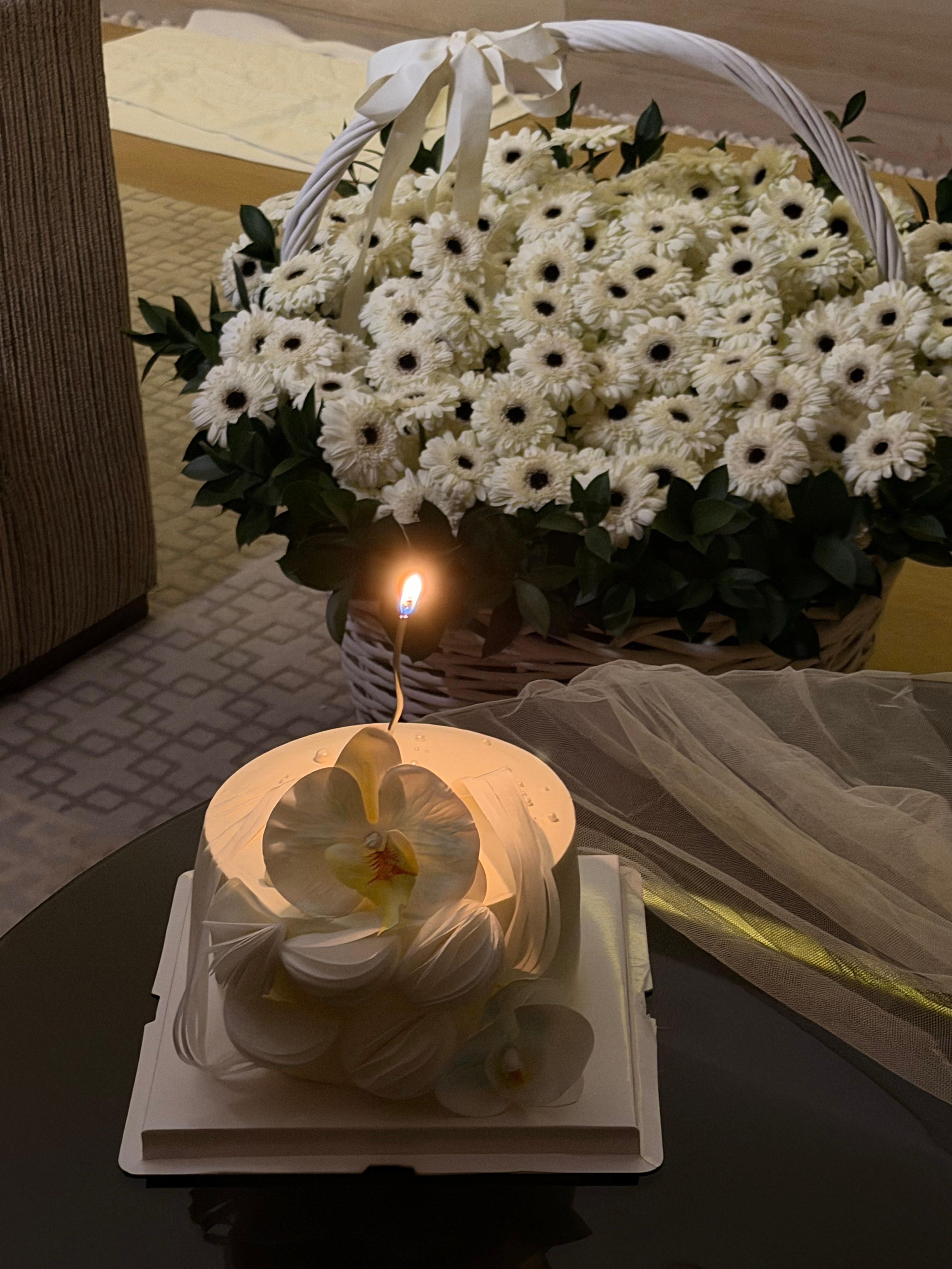 祝自己生日快乐🎂愿自己像弗朗花一样 永远向阳，一直做个小太阳 