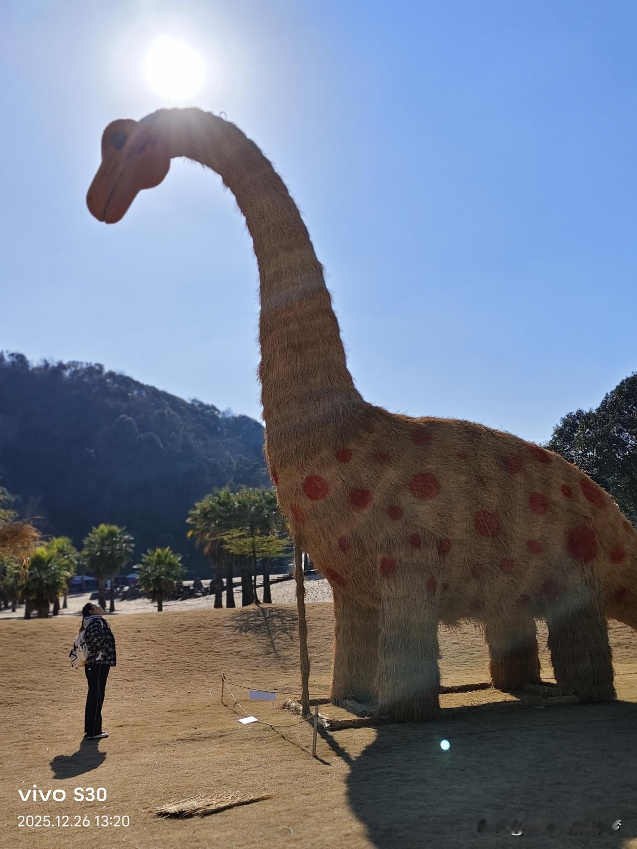 冬日生活打卡季