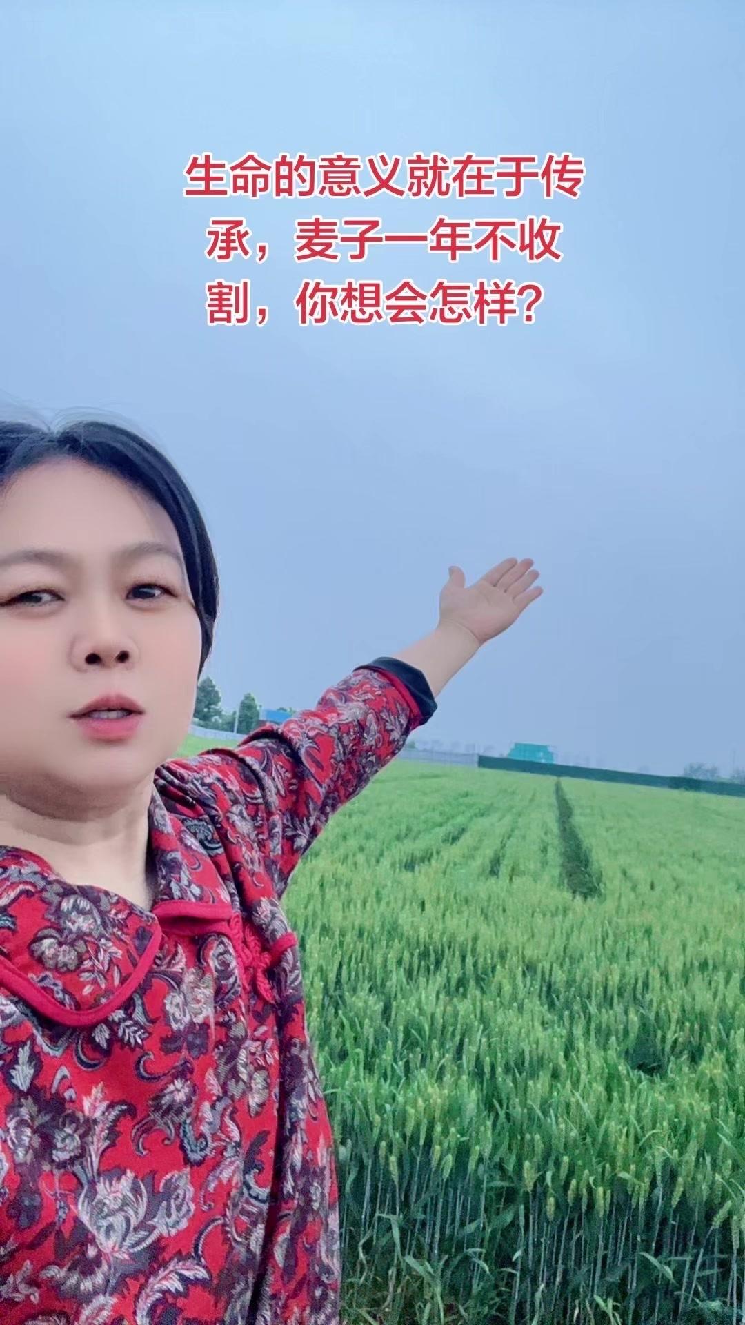 人到中年，看到身边人都儿孙绕膝，心里真不是滋味。年轻时总觉得自由更重要，忙着打工