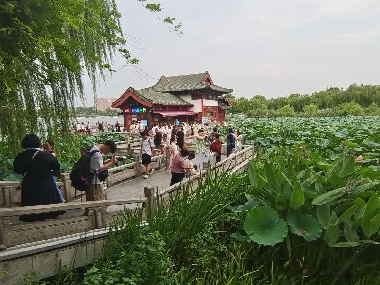 上联：鸟鸣杨柳岸
上联：蛙叫荷花池

终生坚持作品原创的人
图片来源于作者拍摄