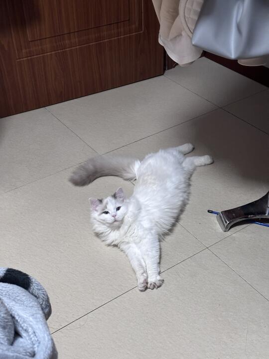 人，还在努力工作吗