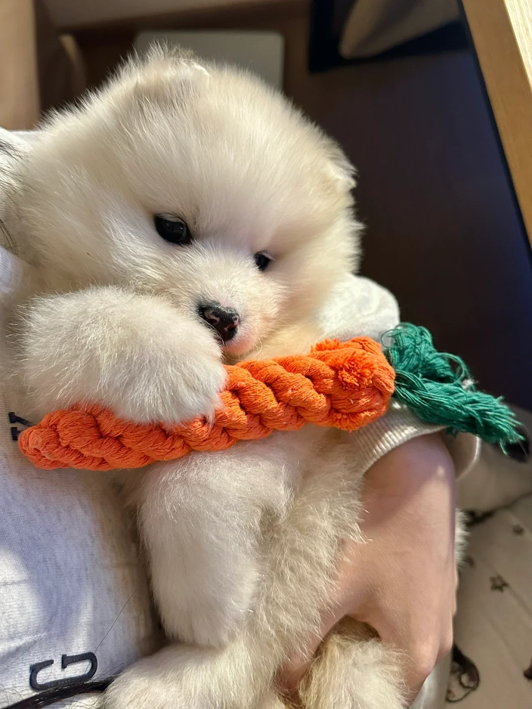 什么是真正的喜欢