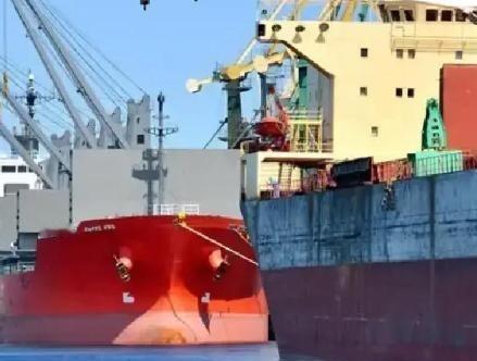 当一船满载6.9万吨巴西大豆的货轮靠泊江苏泰州码头时，谁也没想到，大豆中混入了约