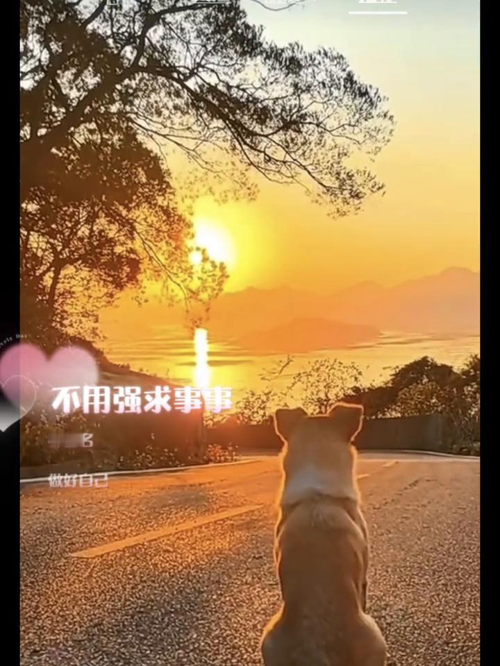 不必完美。
作词：蓝光。
世界很大风，一生不过一天。我也很轻，不必追赶别人的光影