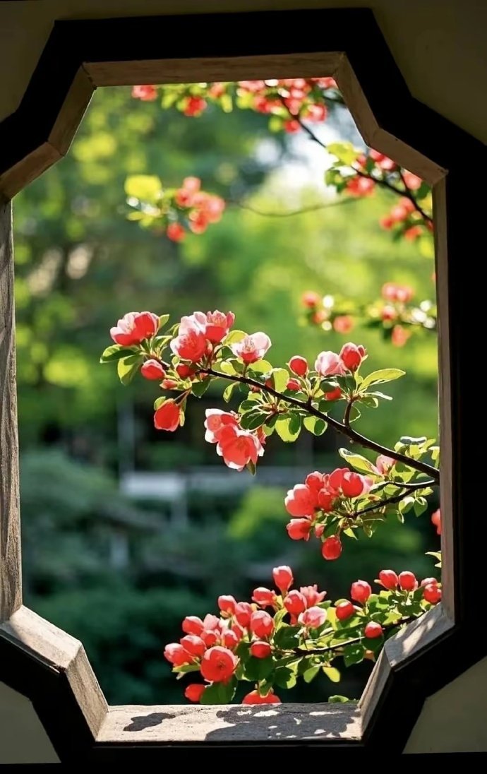 生活慌慌忙忙，季节来来往往。偶尔动态，偶尔存在，圈小，事少，悦己，阅己。 ​ ​