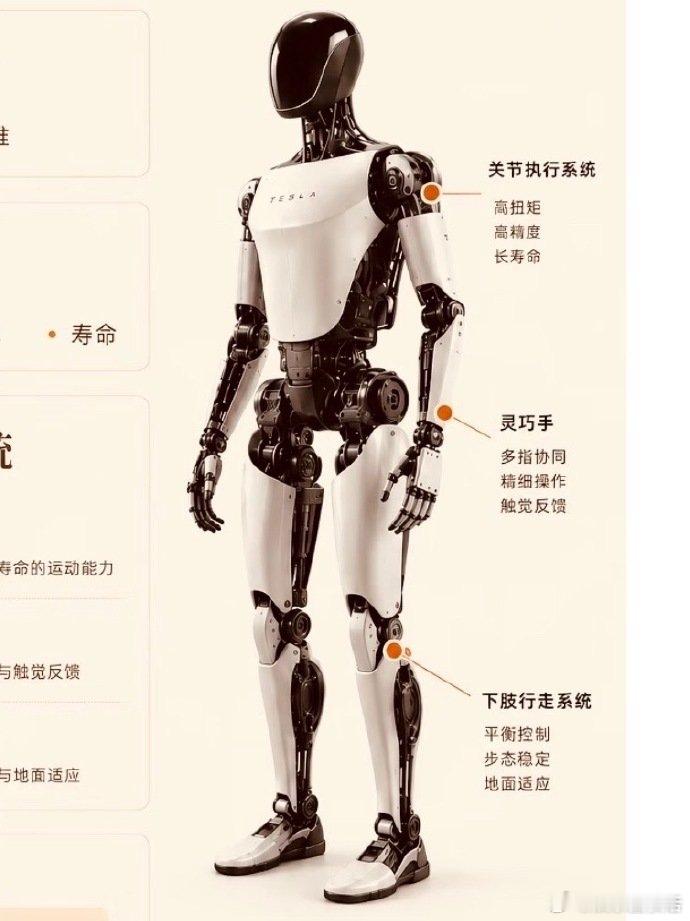 不是很希望靠人形机器人取代感情不希望靠人形机器人取代感情收拾家务、贴心陪护机器人