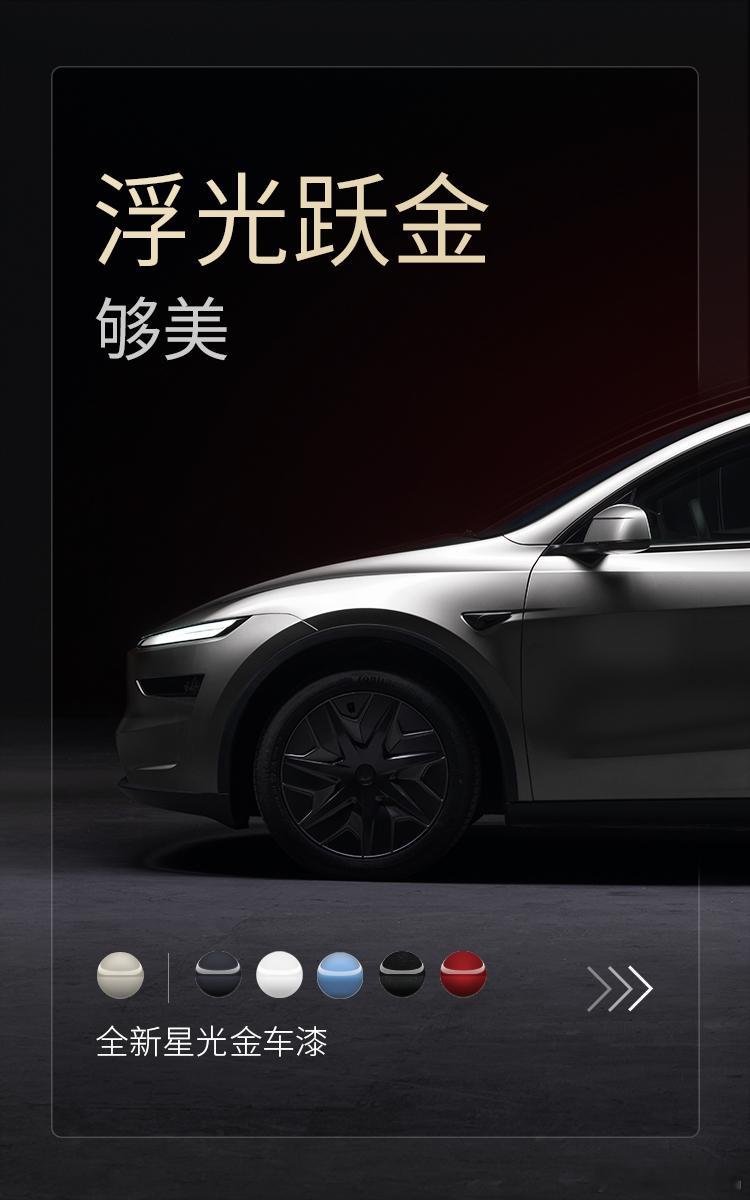 我说金色是流行色也是经典色吧特斯拉model y ​​​