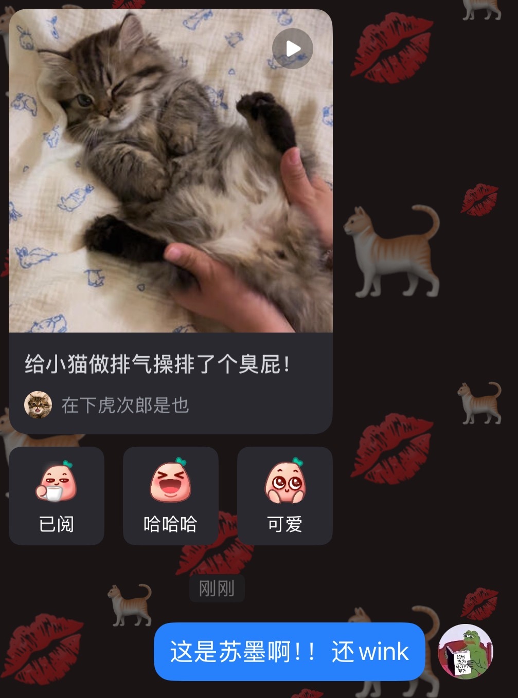 墨墨猫。