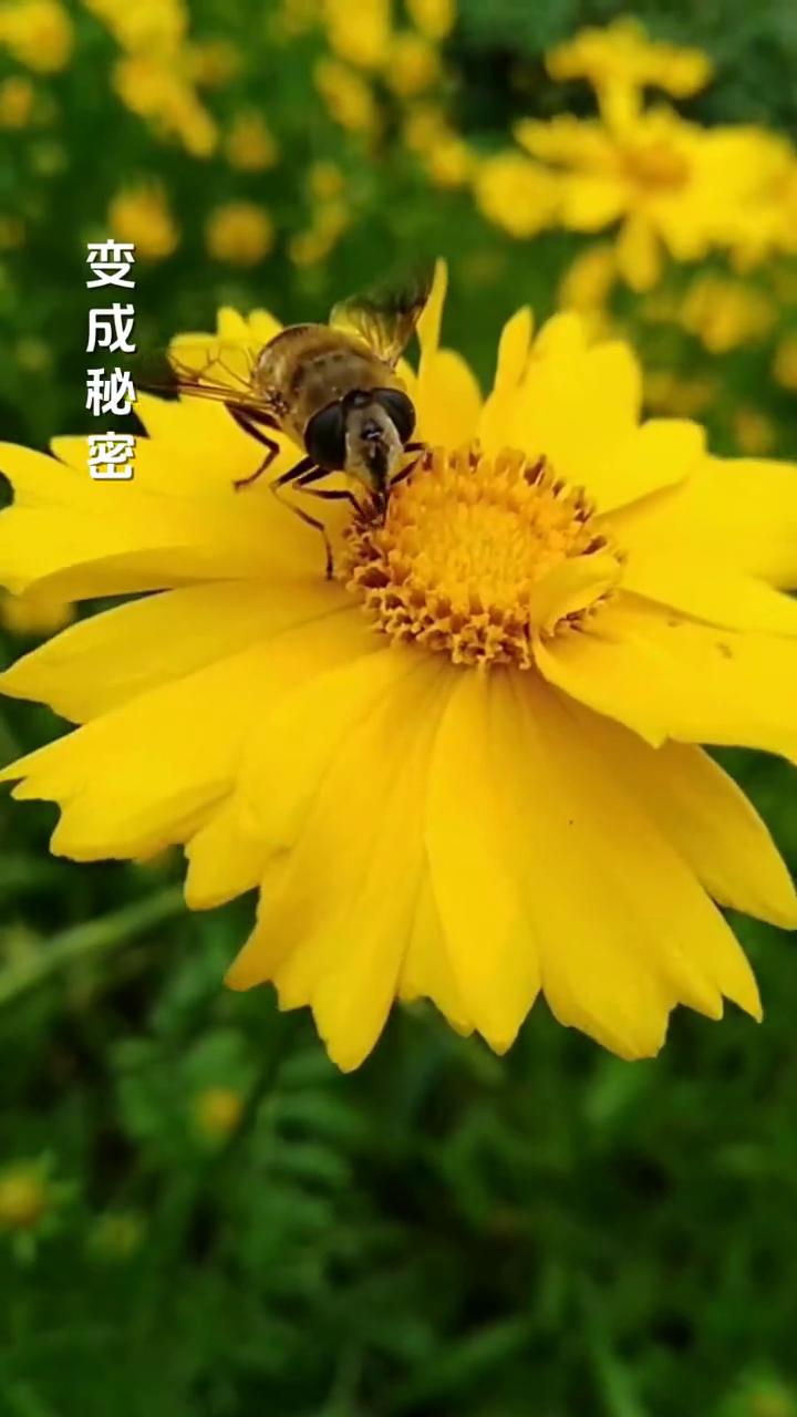 晴天雨天。
演唱者：小蜜。
制片人：芙蓉传媒。
时间凝固成记忆，那时你我的决定，