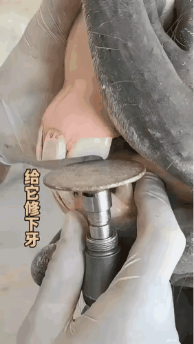 这是强迫症吗？打磨的这么齐真的好吗？