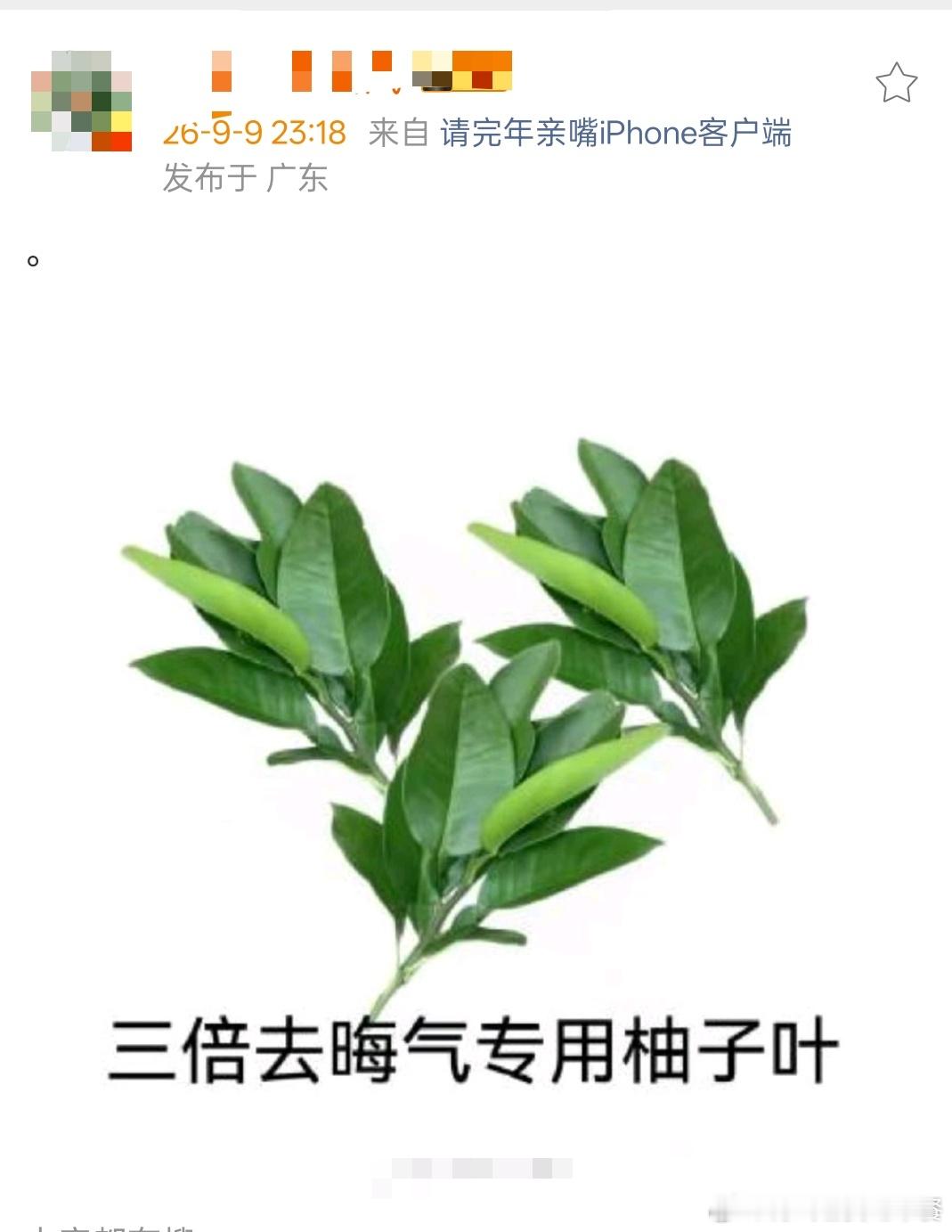 投 完年总统突然发了这个 什么意思 ​​​