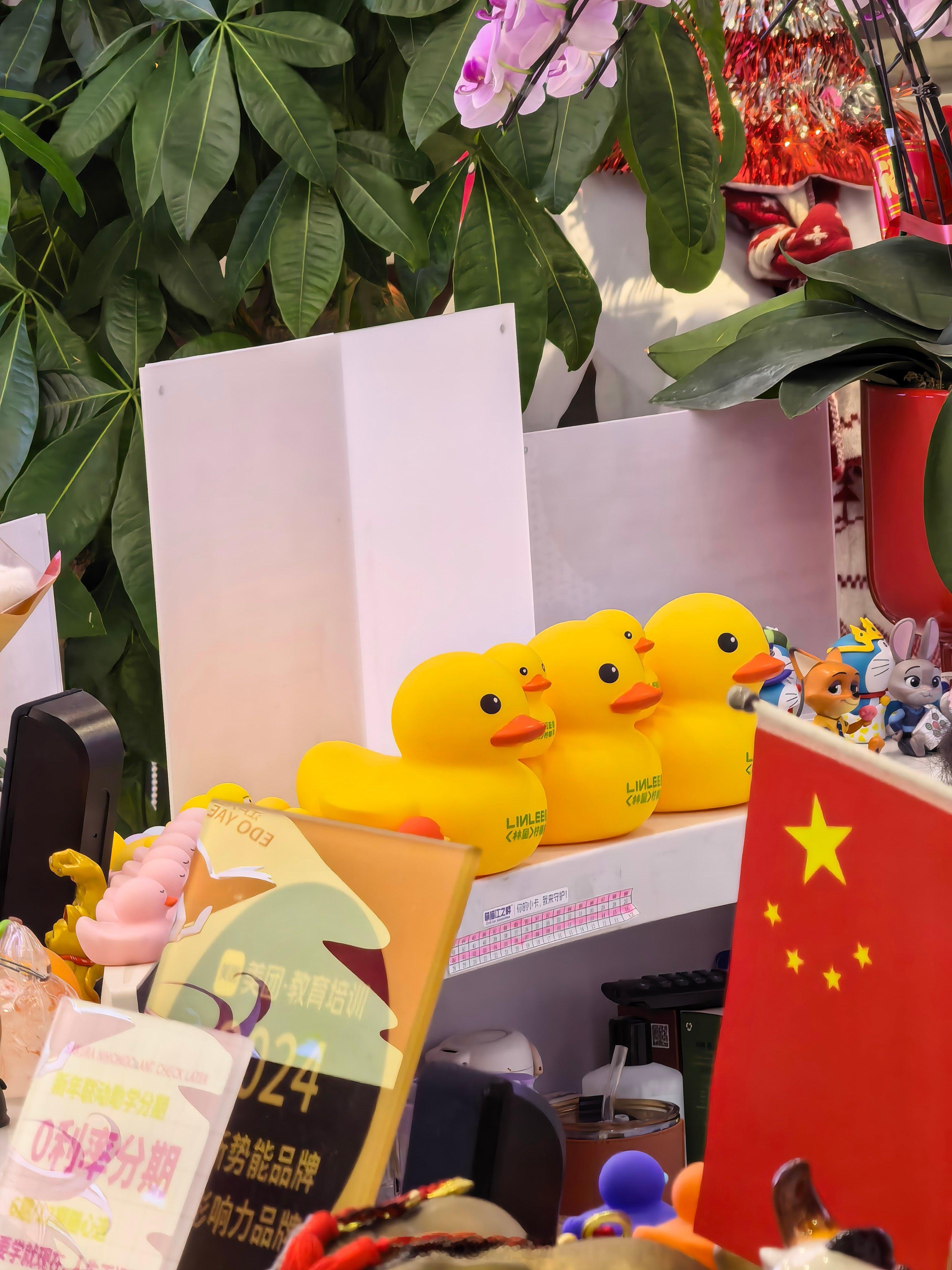 “孕妇效应”再次具象化了，最近到哪儿吃饭都能看到店面放着林里鸭。 