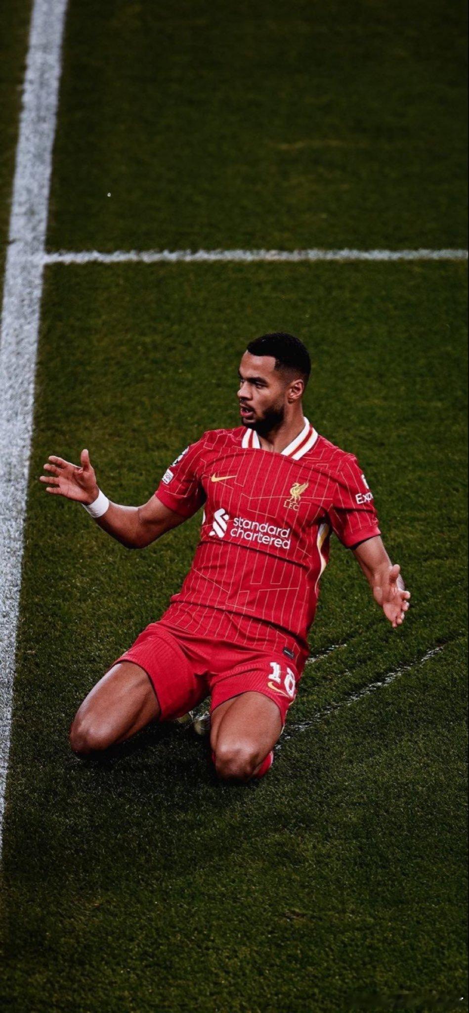 每日邮报记者斯蒂勒表示加克波将因伤缺席数周，这一情况恐怕源于他所司职的位置人员储