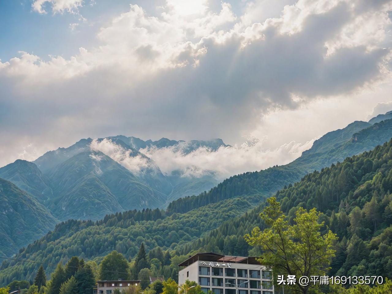上周自驾去浙西的山里晃了三天，车停在山脚下的民宿门口，推开门抬头就是漫山的毛竹，
