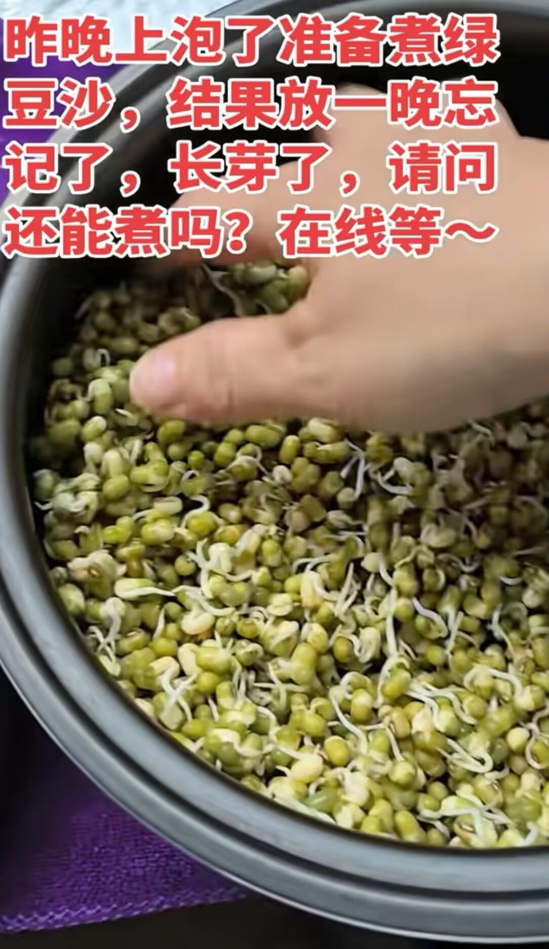 泡发的绿豆准备做绿豆沙，结果忘记了。现在都发芽了，还能做吗？
