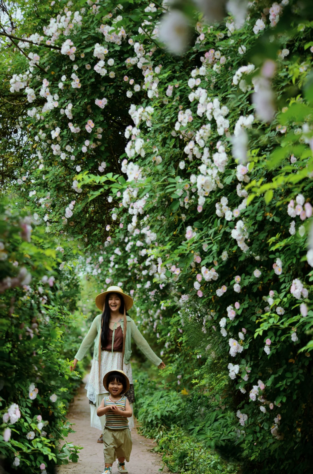 四月蔷薇季，带崽追到成都的百米鲜花长廊