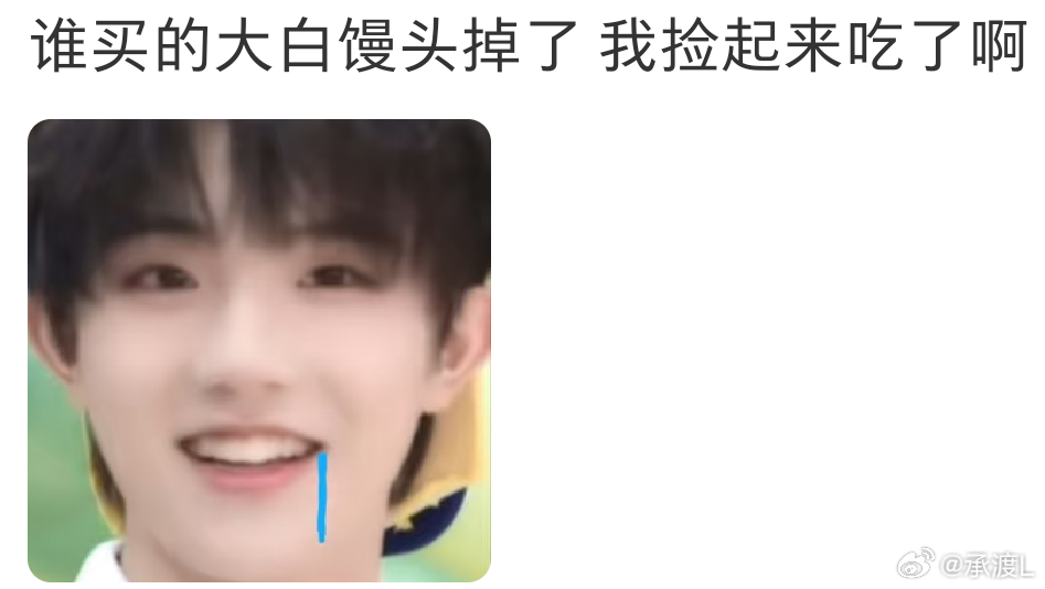 饿语伤狗心，你们说信号灯好的坏的呀苏新皓一路向海的少年