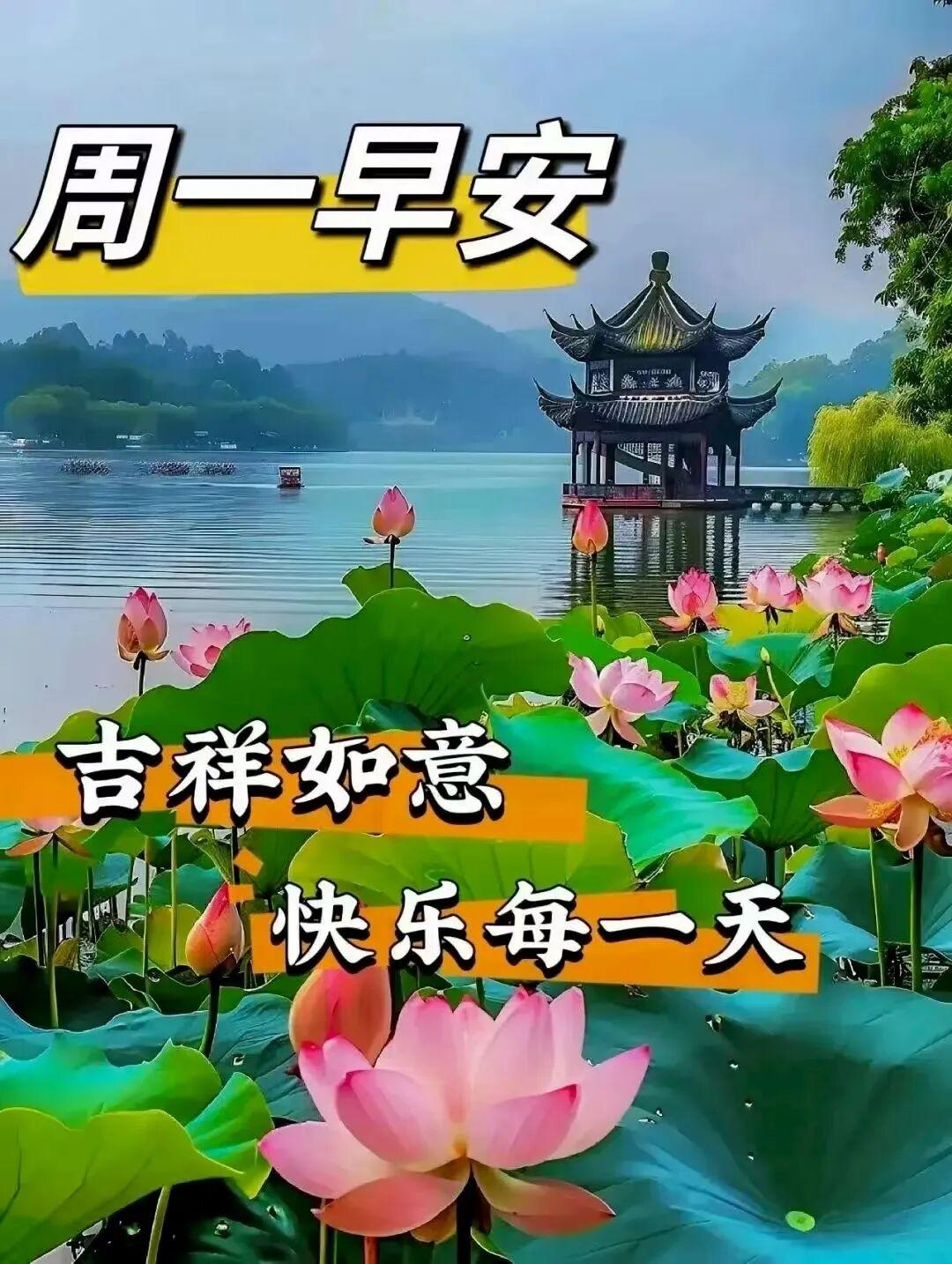 善良给你带来了什么善良给我带来了安心和快乐，做人一定要善良，善待别人，也善待自己