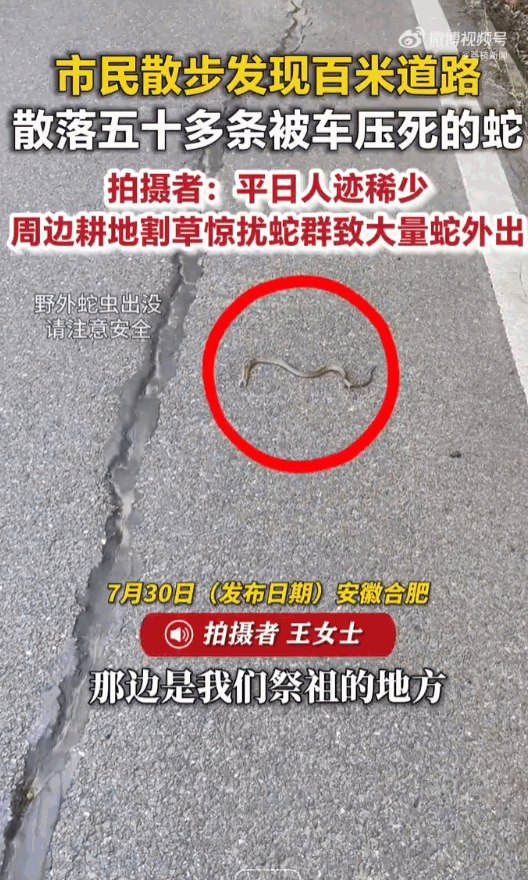 这也太吓人了！安徽合肥，女子在祭祖区域附近的马路上散步，结果眼前的景象直接让她出