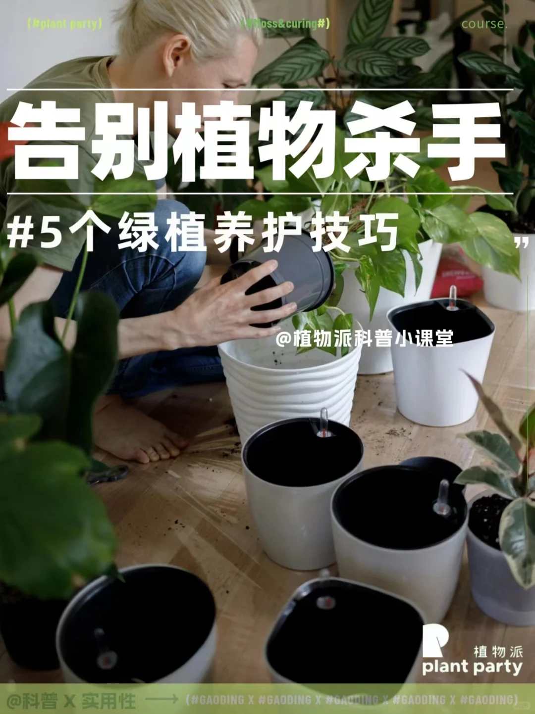 告别植物杀手‼️5个绿植养护小TIPS