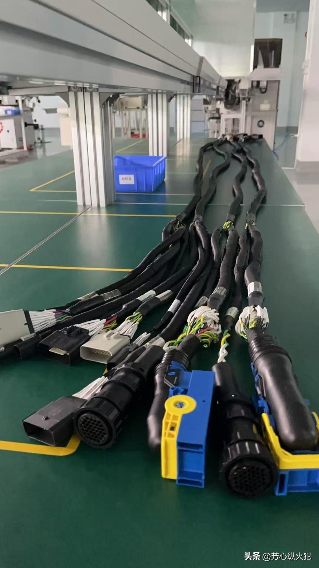 通宵的快乐在于，当鸟开始叫时，你分不清是早安还是晚安！早晨鸟儿叫声 太早醒来了 