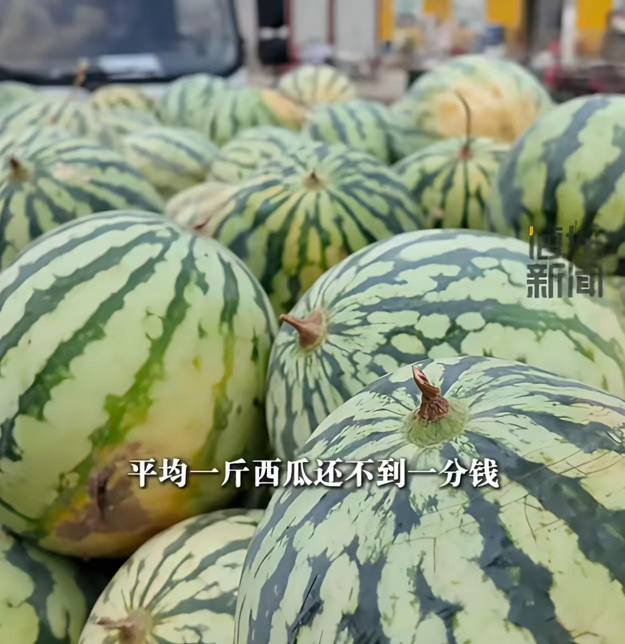 刷到河南卖瓜大姨这段视频，不是滋味。老百姓种地太难了，累死累活忙大半年，瓜贩子一