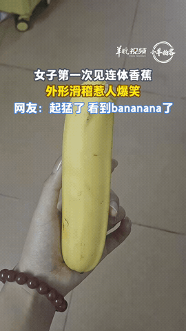 广东，女子去超市买香蕉，挑了个最大的拿，回家剥开香蕉皮一看，竟然是一个连体香蕉，