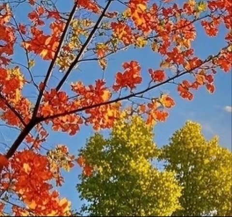 善是一种自然的流露，没有一点造作，没有一点企求，像水一样一往无前地流动，没有一点