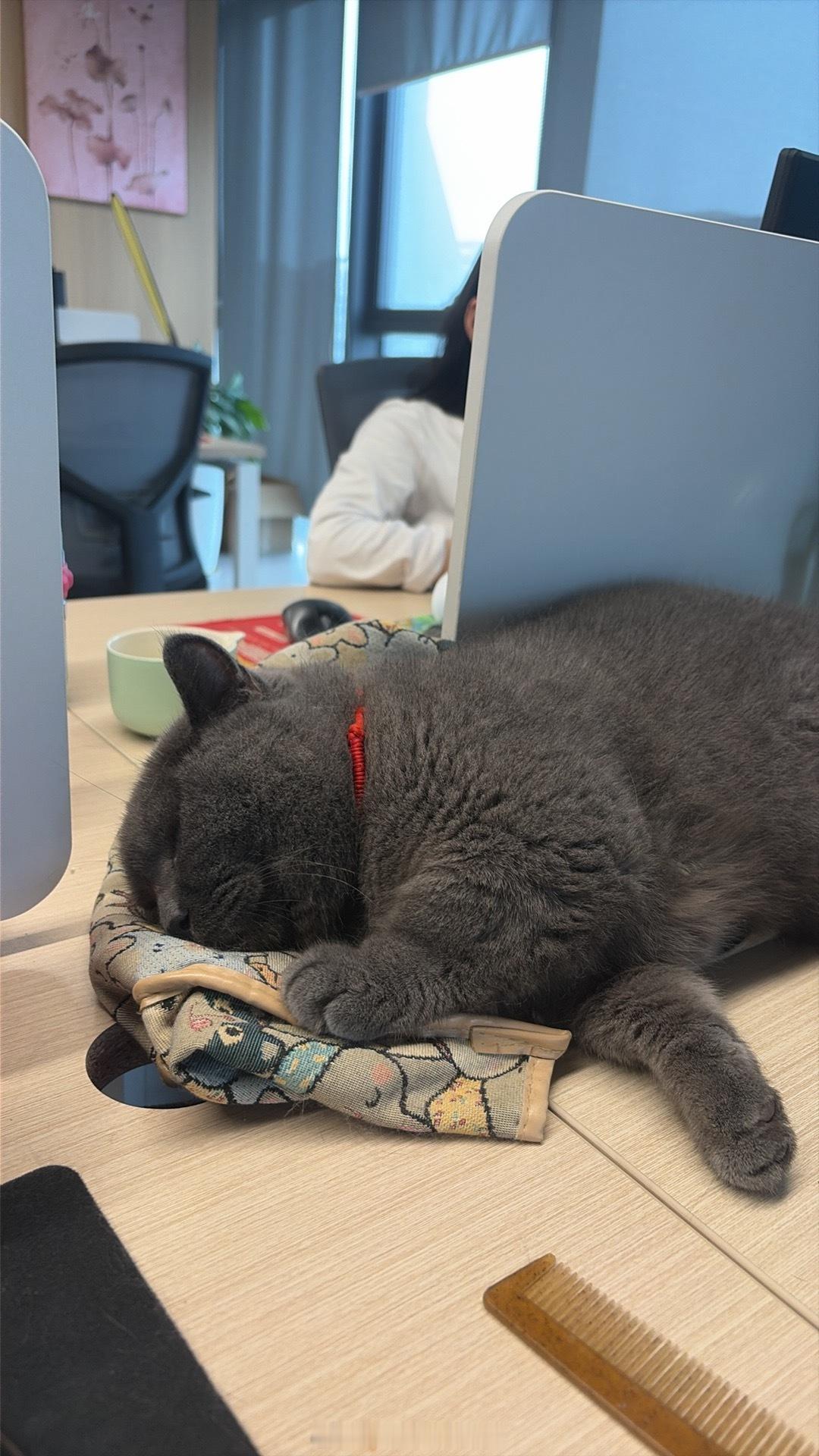 上班好搭子 