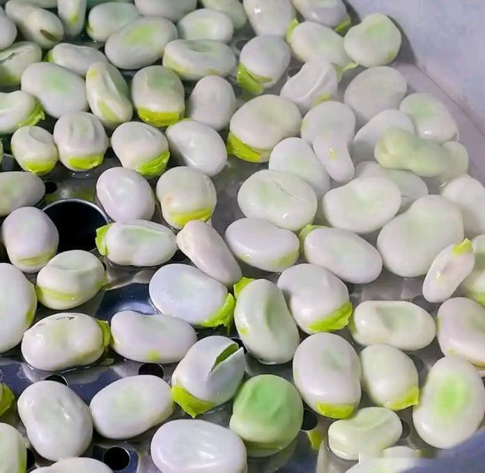 清明后多吃这“碱性菜”，一通便、二祛湿、三强免疫、四健脾胃

清明过后雨水增多，