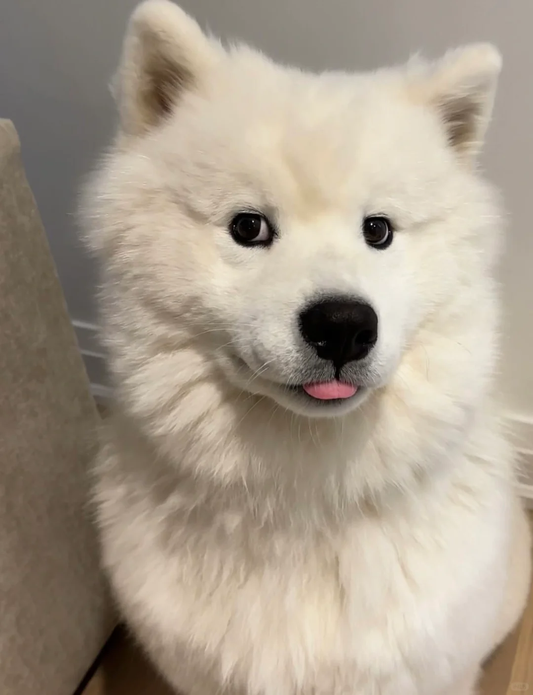 感觉有八百个心眼子