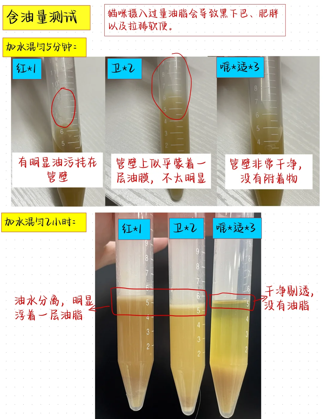 怎么选购化毛膏？｜附自测方法+配方分析