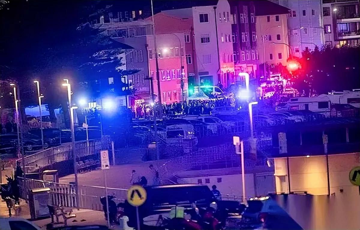 “爸，周末去钓鱼？”

“嗯，顺便练枪。”

谁也想不到，这句父子闲聊竟是悉尼血