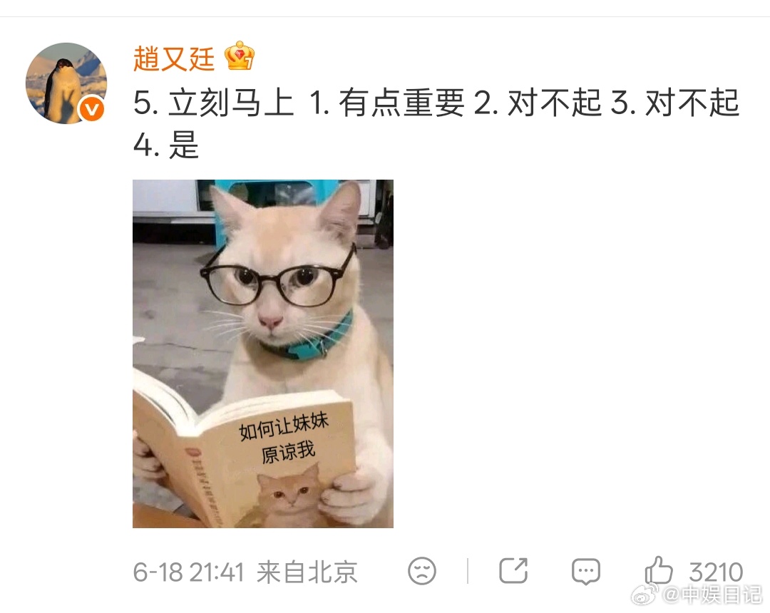 赵又廷回应毛晓彤救命！赵又廷和毛晓彤这波互动真的笑不活了😂给没吃到瓜的姐妹捋捋