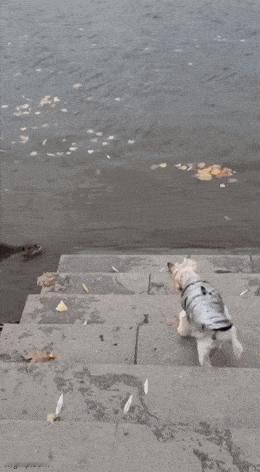 俩近视眼
